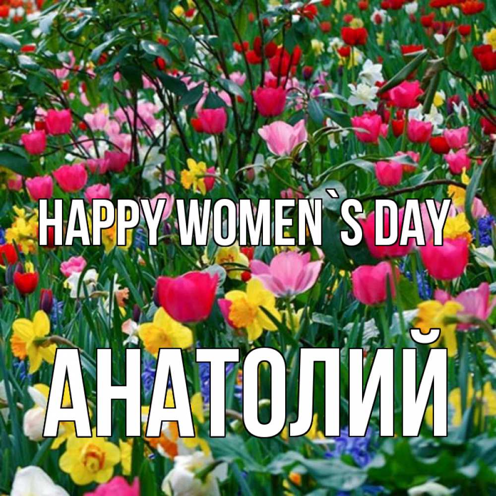 Greetings card с именем, Анатолий happy women`s day с международным женским днем поздравления для женщины Greetings with text for free download 